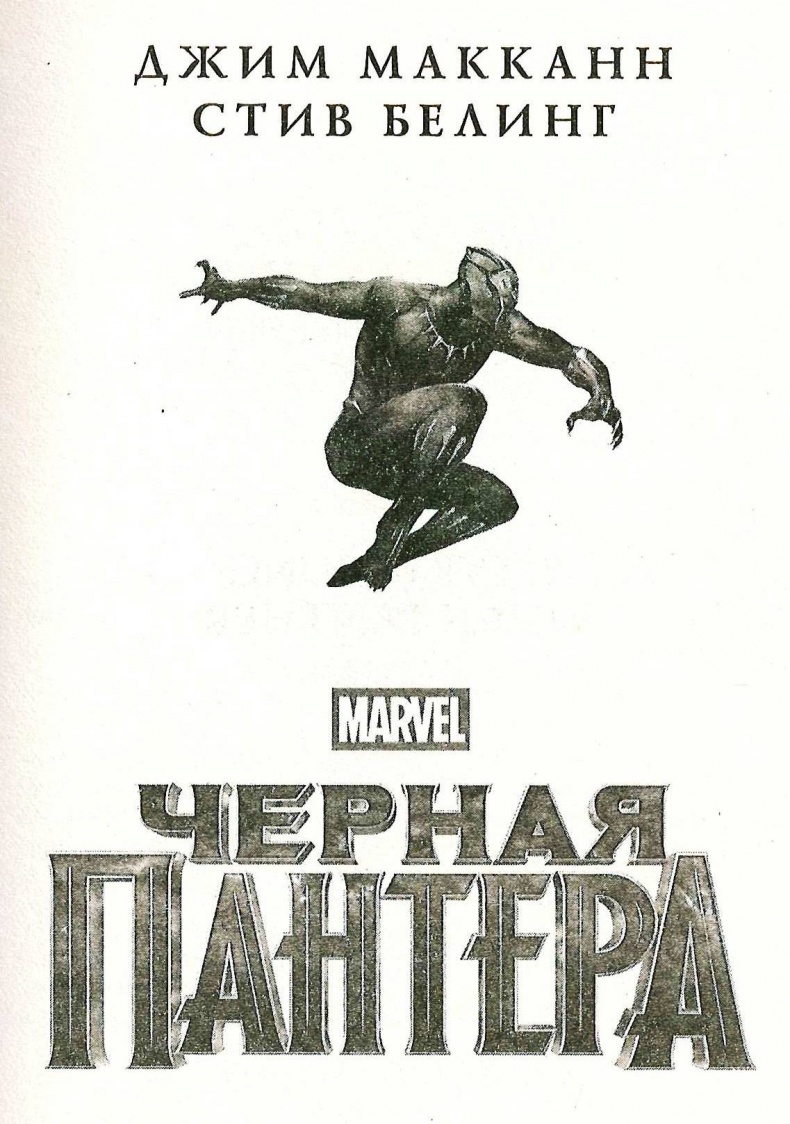 Иллюстрация к книге — Черная Пантера. Официальная новеллизация [_2.jpg]