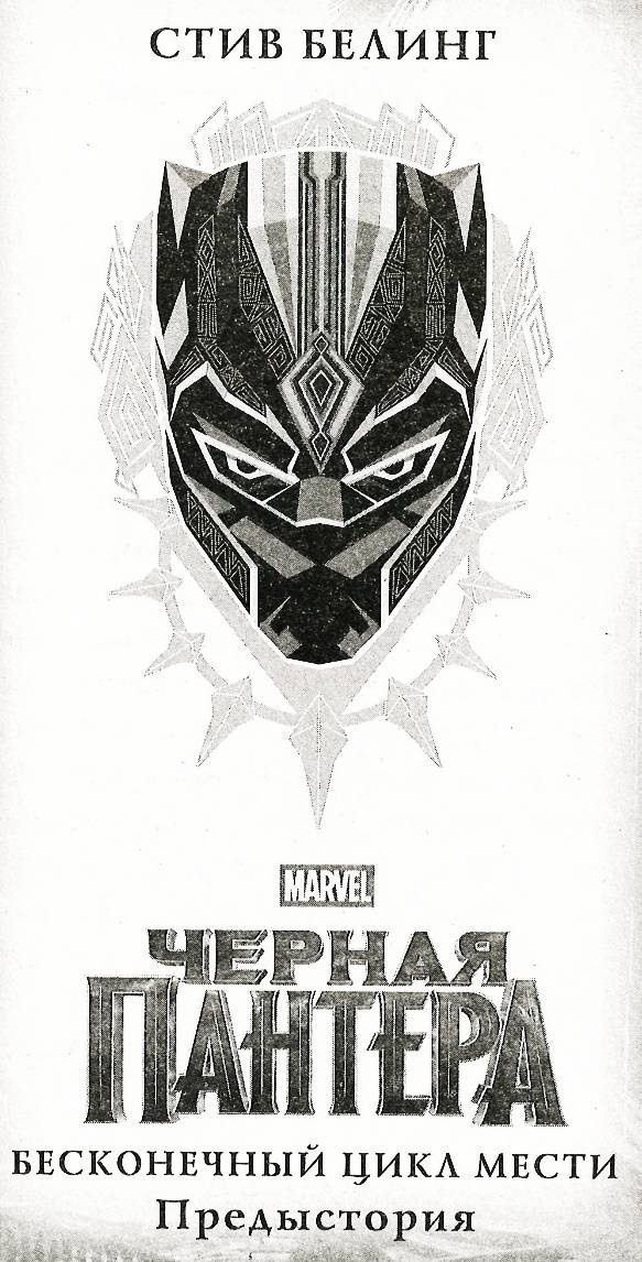 Иллюстрация к книге — Черная Пантера. Официальная новеллизация [_4.jpg]