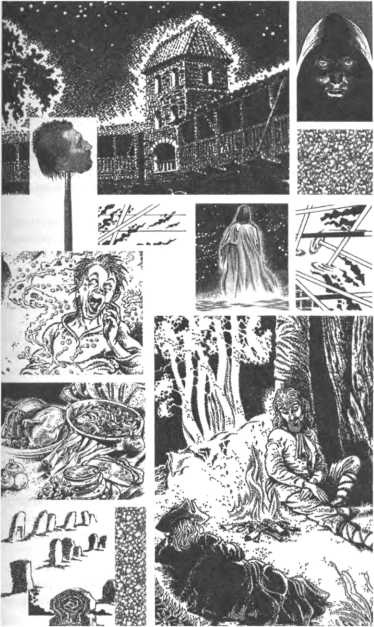 Иллюстрация к книге — Корабль палачей [i_010.jpg]