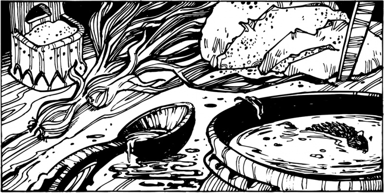 Иллюстрация к книге — Князь Клюква [i_010.jpg]