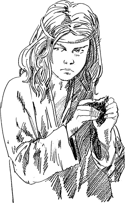 Иллюстрация к книге — Князь Клюква [i_011.jpg]