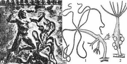 Иллюстрация к книге — Биологическая война. Введение в эпидемиологию искусственных эпидемических процессов и биологических поражений [i_001.jpg]