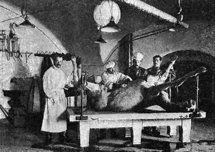 Иллюстрация к книге — Биологическая война. Введение в эпидемиологию искусственных эпидемических процессов и биологических поражений [i_011.jpg]