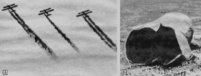 Иллюстрация к книге — Биологическая война. Введение в эпидемиологию искусственных эпидемических процессов и биологических поражений [i_013.jpg]