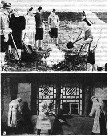 Иллюстрация к книге — Биологическая война. Введение в эпидемиологию искусственных эпидемических процессов и биологических поражений [i_041.jpg]