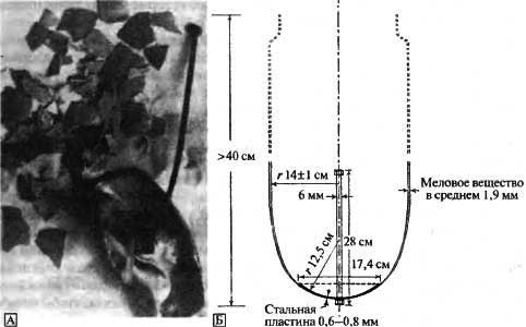 Иллюстрация к книге — Биологическая война. Введение в эпидемиологию искусственных эпидемических процессов и биологических поражений [i_043.jpg]