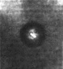 Иллюстрация к книге — Биологическая война. Введение в эпидемиологию искусственных эпидемических процессов и биологических поражений [i_045.jpg]