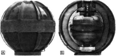 Иллюстрация к книге — Биологическая война. Введение в эпидемиологию искусственных эпидемических процессов и биологических поражений [i_050.jpg]