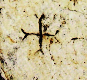 Иллюстрация к книге — Храм Гроба Господня [i_218.jpg]