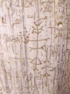 Иллюстрация к книге — Храм Гроба Господня [i_295.jpg]