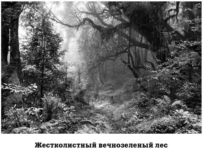 Иллюстрация к книге — География на пальцах [i_111.jpg]