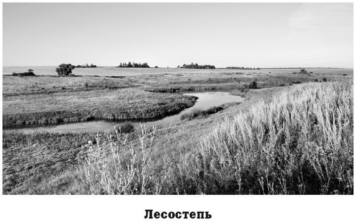 Иллюстрация к книге — География на пальцах [i_112.jpg]