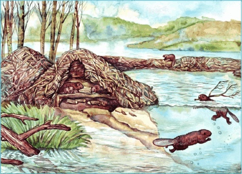 Иллюстрация к книге — Приключения трех смельчаков [i_001.jpg]