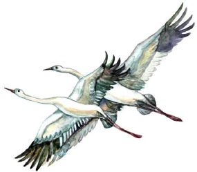 Иллюстрация к книге — Приключения трех смельчаков [i_010.jpg]