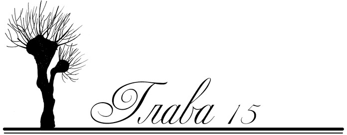 Иллюстрация к книге — Танцы в нечётных дворах [i_015.jpg]