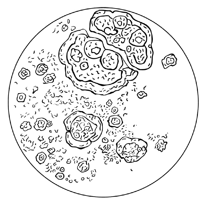 Иллюстрация к книге — 0,05. Доказательная медицина от магии до поисков бессмертия [img_16.jpg]