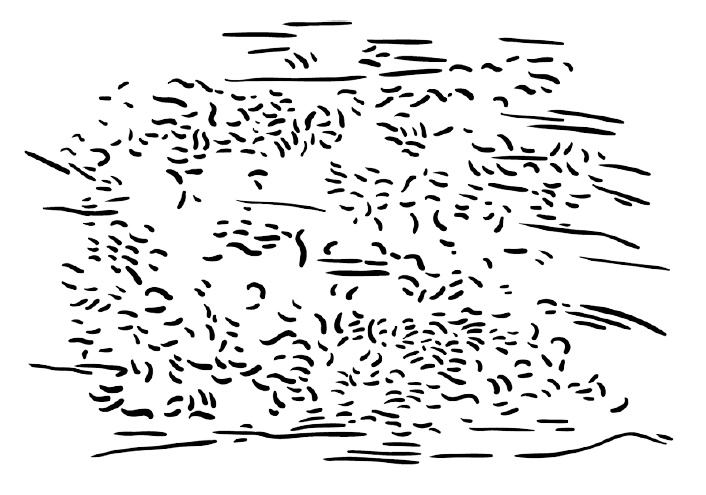 Иллюстрация к книге — 0,05. Доказательная медицина от магии до поисков бессмертия [img_19.jpg]