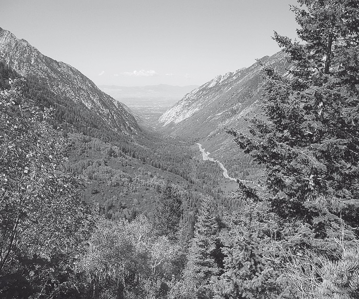 Иллюстрация к книге — Набоков в Америке. По дороге к "Лолите" [i_001.jpg]