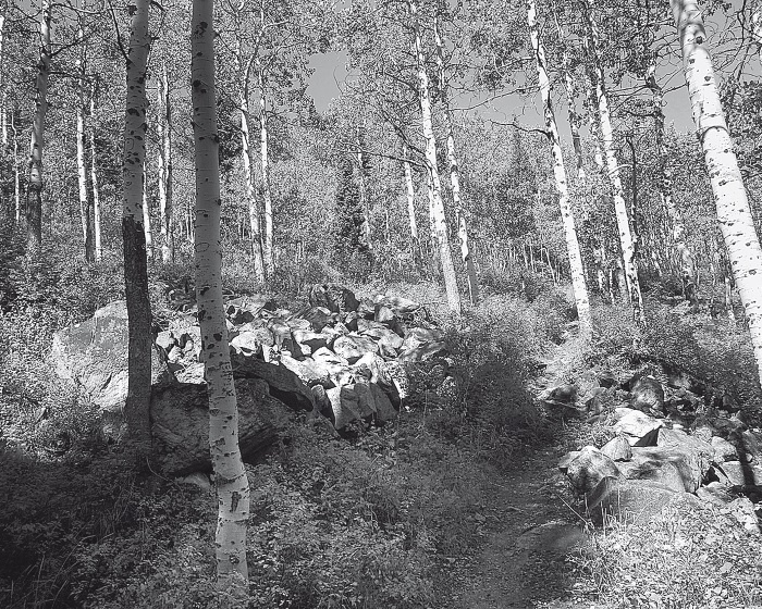 Иллюстрация к книге — Набоков в Америке. По дороге к "Лолите" [i_009.jpg]