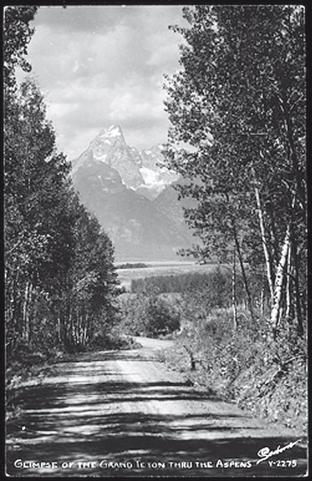 Иллюстрация к книге — Набоков в Америке. По дороге к "Лолите" [i_013.jpg]