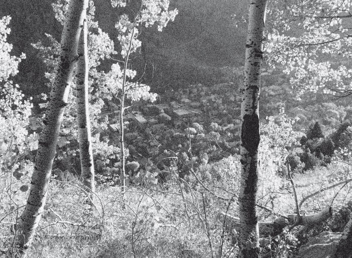 Иллюстрация к книге — Набоков в Америке. По дороге к "Лолите" [i_016.jpg]