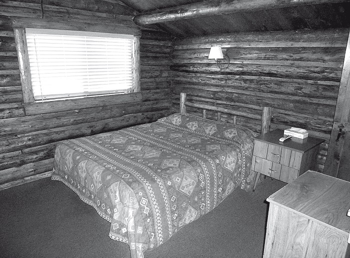 Иллюстрация к книге — Набоков в Америке. По дороге к "Лолите" [i_019.jpg]