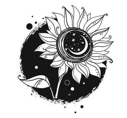 Иллюстрация к книге — Сетерра. 3. Зенит затмения [i_015.jpg]