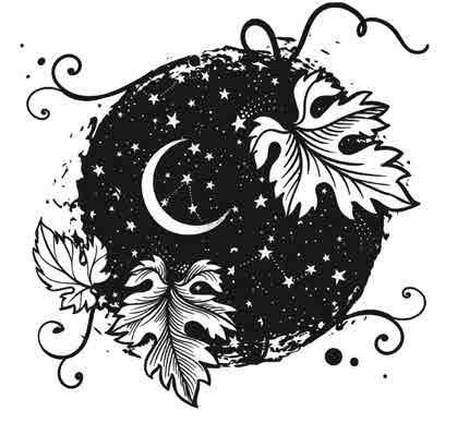 Иллюстрация к книге — Сетерра. 3. Зенит затмения [i_023.jpg]