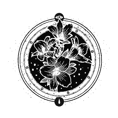 Иллюстрация к книге — Сетерра. 2. Тайнопись видений [i_003.jpg]