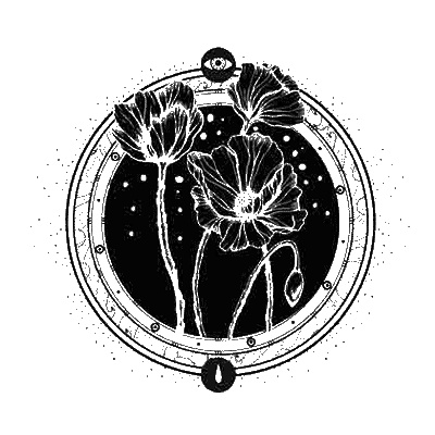 Иллюстрация к книге — Сетерра. 2. Тайнопись видений [i_008.jpg]