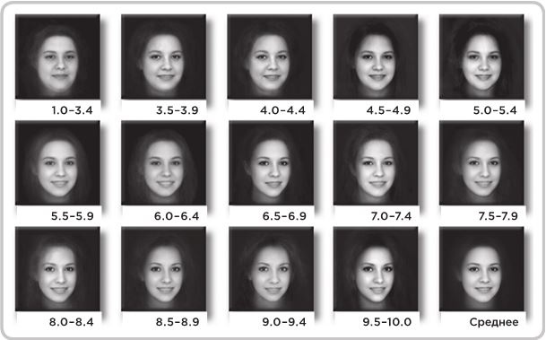 Иллюстрация к книге — Не оторваться. Почему наш мозг любит всё новое и так ли это хорошо в эпоху интернета [i_021.jpg]