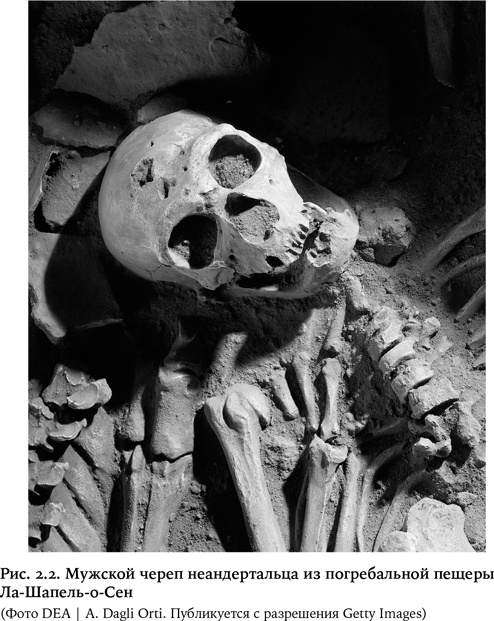 Иллюстрация к книге — Небеса на земле. Научный взгляд на загробную жизнь, бессмертие и утопии [i_007.jpg]