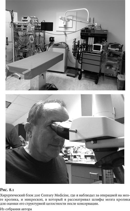 Иллюстрация к книге — Небеса на земле. Научный взгляд на загробную жизнь, бессмертие и утопии [i_015.jpg]