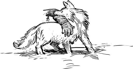 Иллюстрация к книге — Холод. Неотвратимая гибель. Ледяная бесконечность. Студёное дыхание [i_022.jpg]