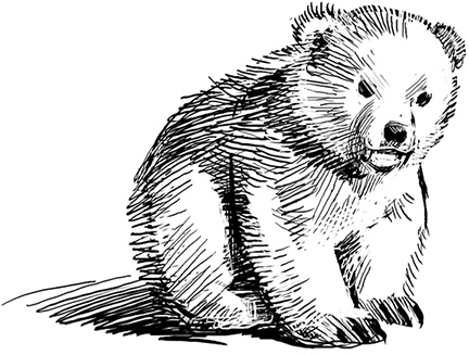 Иллюстрация к книге — Холод. Неотвратимая гибель. Ледяная бесконечность. Студёное дыхание [i_091.jpg]