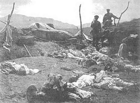 Иллюстрация к книге — Японо-китайская война 1894-1895 гг. Неуслышанная война [i_010.jpg]