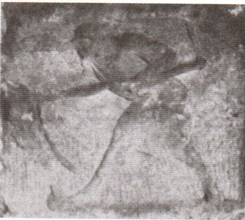 Иллюстрация к книге — Общество и хозяйство в Римской империи. В 2 томах. Том 1 [i_100.jpg]