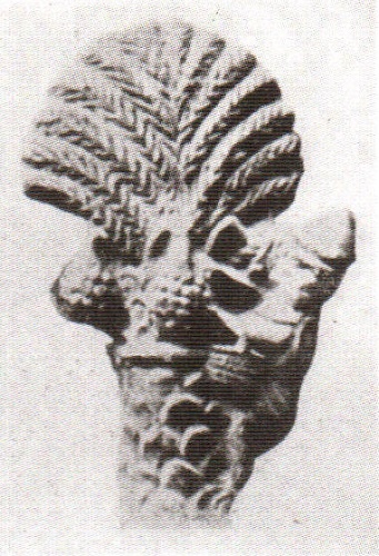 Иллюстрация к книге — Общество и хозяйство в Римской империи. В 2 томах. Том 2 [i_023.jpg]