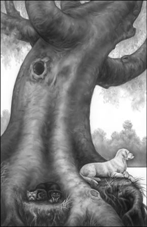 Иллюстрация к книге — Верные. Книга 3. Дорога чудес и невзгод [i_001.jpg]