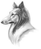 Иллюстрация к книге — Верные. Книга 3. Дорога чудес и невзгод [i_008.jpg]