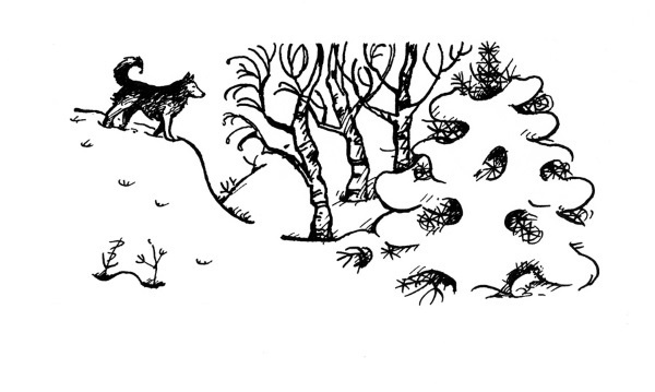 Иллюстрация к книге — Золото Хравна [i_010.jpg]