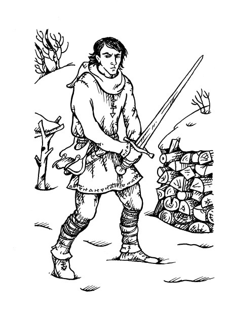 Иллюстрация к книге — Золото Хравна [i_023.jpg]