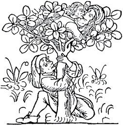 Иллюстрация к книге — Средневековье. Полная история эпохи [i_017.jpg]