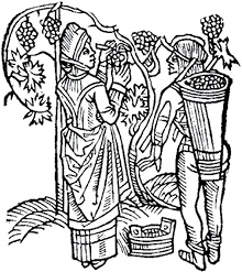 Иллюстрация к книге — Средневековье. Полная история эпохи [i_104.jpg]