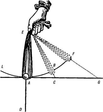 Иллюстрация к книге — Сомневайся во всем [_38.jpg]