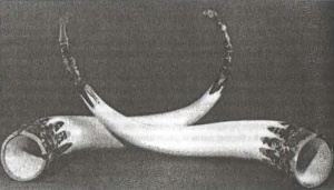 Иллюстрация к книге — Предвестники викингов. Северная Европа в I-VIII веках [i_015.jpg]