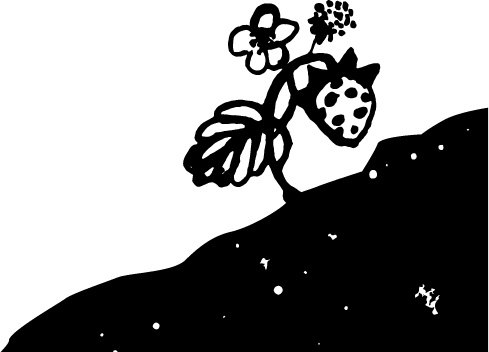 Иллюстрация к книге — Царь-оборванец и секрет счастья [i_006.jpg]