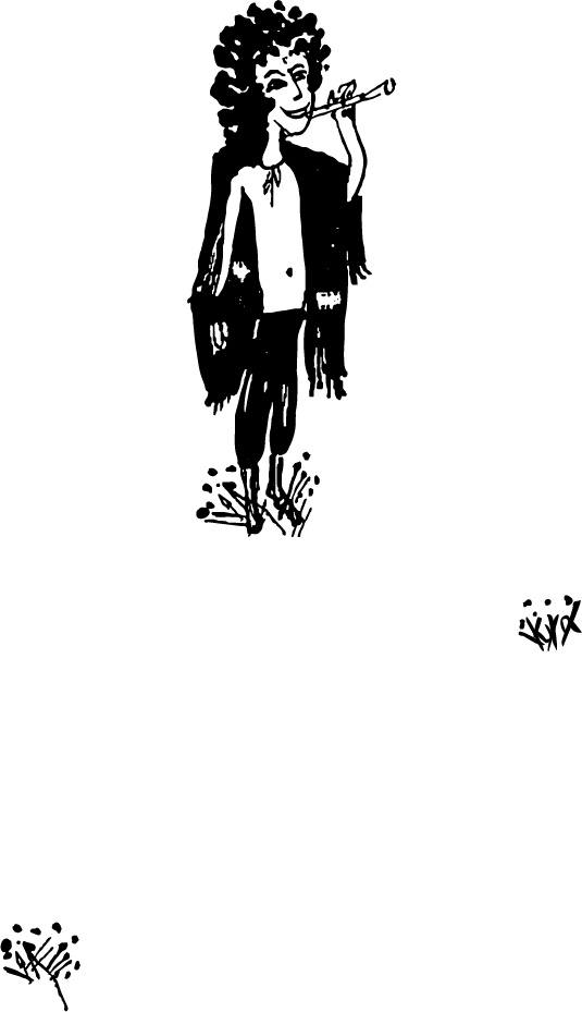 Иллюстрация к книге — Царь-оборванец и секрет счастья [i_037.jpg]