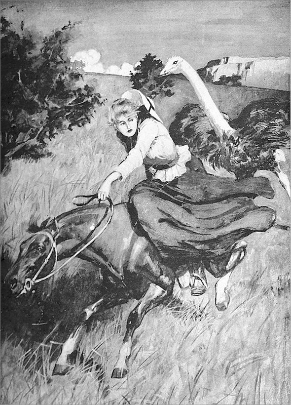 Иллюстрация к книге — Джесс. Повесть из времен Бурской войны [i_001.jpg]