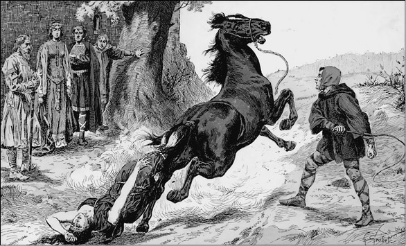 Иллюстрация к книге — История Меровингов [i_019.jpg]